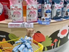 -帕帕拉兹宠物(亚洲旗舰店)