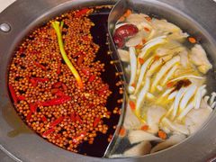 -钢管厂五区小郡肝火锅串串香(总店)