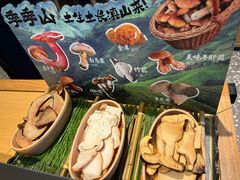 -季季山•云南野生菌火锅(上海首店)