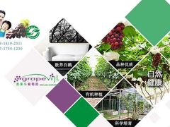 -美家乐农庄·露营·团建(大治路店)