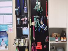 -瑞派宠物医院(搏威敦和院)