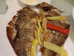 -骏莱海鲜鱼港(五角场店)