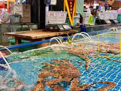 -三亚火车头万人海鲜广场