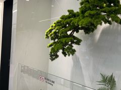 -深圳麦芽口腔医院(罗湖总院)