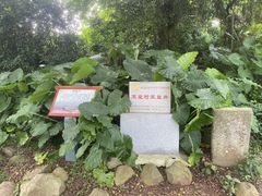 -硇洲岛旅游区