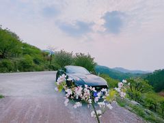 -四明山国家森林公园