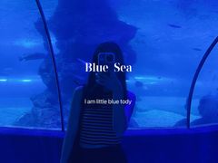 -左海海底世界