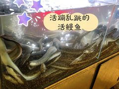 -本炙炭烤·蒲烧活鳗料理店(金沙洲店)