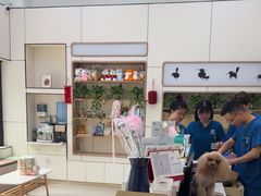 -凯瑞希宠物医院·狂犬免疫·微创·皮肤科