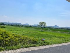 -良渚古城遗址公园