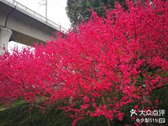 -秀丽东方