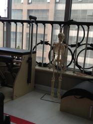 场馆-Green Pilates格琳普拉提工作室