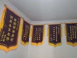 -程氏苗堂苗技养生