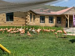 -哈尔滨北方森林动物园