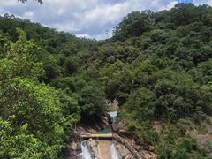 -广州白江湖森林公园