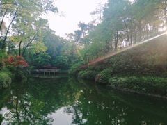 -南山植物园