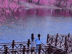 -长春公园(普阳街道)