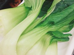-红菇坊鲜汤火锅(北站店)