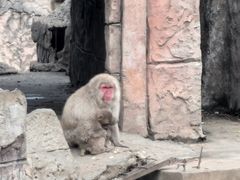 -南昌动物园