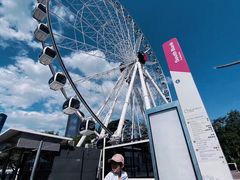-布里斯班南岸公园