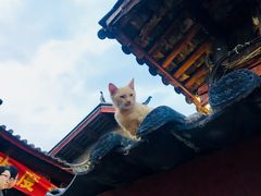 -阿安甜品(五一街店)