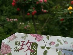 -鹅湖玫瑰文化园