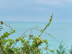 -广东惠东海龟国家级自然保护区