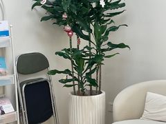 -壹点灵·心理咨询中心(中山公园店)