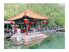 -趵突泉景区