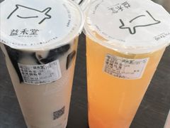 -益禾堂·薄荷柠檬水(龙城店)