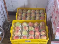 -老袁家蜜桃农场·阳山水蜜桃