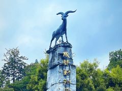 -成都动物园