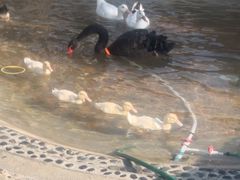-珠海海泉湾神秘岛亲子乐园