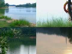 -凤岗南门山森林公园