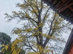 -金堂县云顶石城风景区