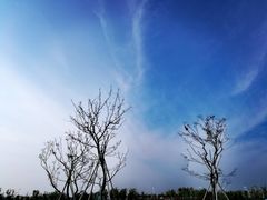 -春花秋色城市公园