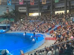 -海合安成都极地海洋公园