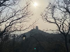 -杭州半山国家森林公园