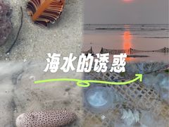-北海金海湾红树林生态旅游区