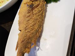 -老牌坊鲁菜名店(聊城美食岛店)