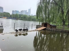 -西海子公园