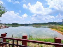 -美的鹭湖森林度假区