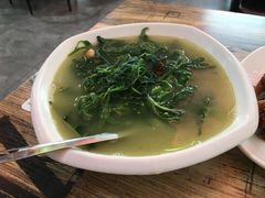 -东鸽皇(奥园·中环广场店)