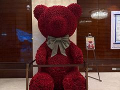 -郑州美盛喜来登大酒店