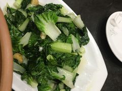 -一撮毛美食城(全力一路店)