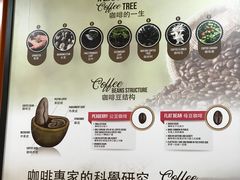 -巴厘岛黄金金兔咖啡工厂