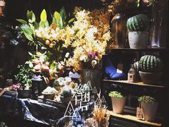 -范设计花园餐酒咖·中西餐·咖啡厅·酒馆