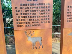-北京麋鹿生态实验中心