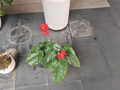 -阿伟海鲜楼·福建菜(涵江店)