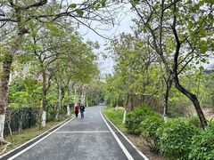 -广东花都湖国家湿地公园